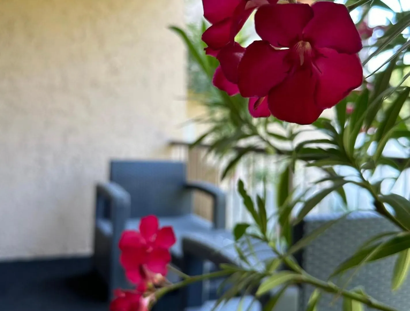 Le Mas D'Estello Hotel Tallard